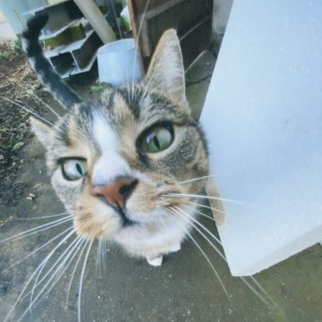 Cover art for Break It Down